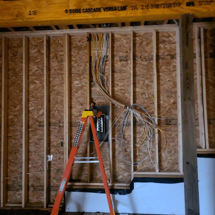 Rogue Electric field work